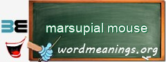 WordMeaning blackboard for marsupial mouse